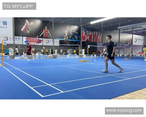 羽毛球热议：探讨北京羽毛球队团队协作中的分歧与挑战